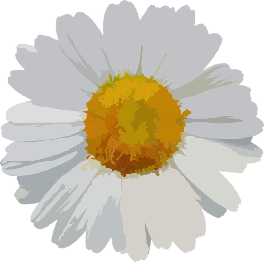 flower-1837356_960_720.png