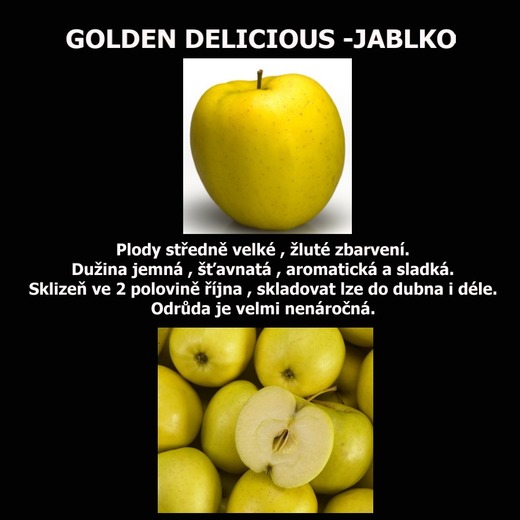 golden delicious web.jpg