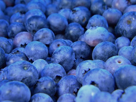 blueberries-1245724__340.jpg