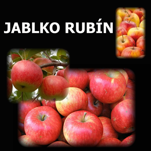 JABLKO RUBIN Web.jpg