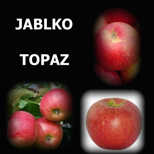 JABLKO TOPAZ Web.jpg
