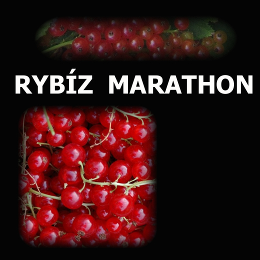 RYBIZ MARATHON Web.jpg