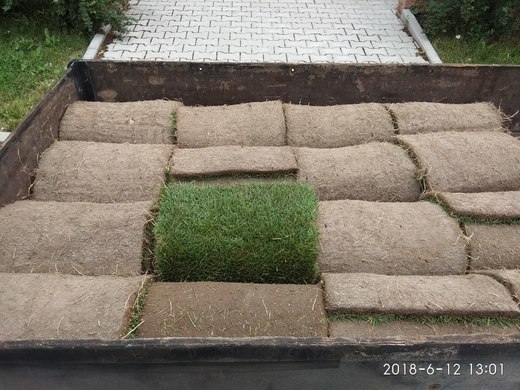 Trávníkový koberec  zahrada těžko přístupná terasa  v ob