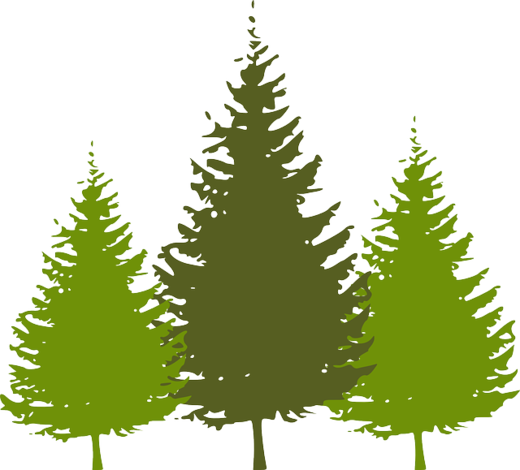 trees-307669_640.png